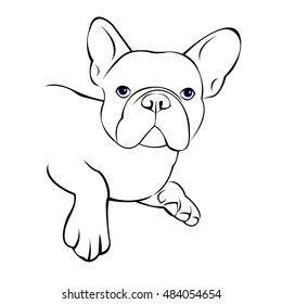 dog vector breed cute pet animal bulldog french