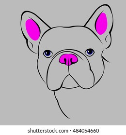 dog vector breed cute pet animal bulldog french