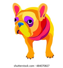 dog vector breed cute pet animal bulldog french