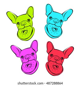 dog vector breed cute pet animal bulldog french