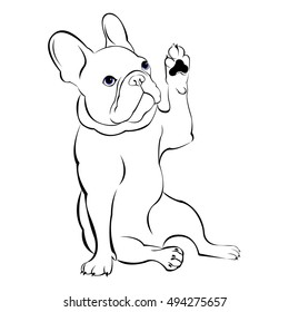 dog, vector, breed, cute, pet, animal, bulldog, french, french bulldog