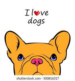 dog, vector, breed, cute, pet, animal, bulldog, french, french bulldog, small, illustration