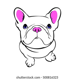 dog, vector, breed, cute, pet, animal, bulldog, french, french bulldog, small, illustration