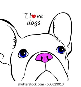 dog, vector, breed, cute, pet, animal, bulldog, french, french bulldog, small, illustration