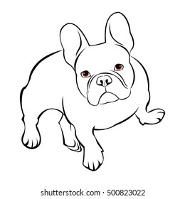 dog, vector, breed, cute, pet, animal, bulldog, french, french bulldog, small, illustration
