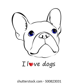dog, vector, breed, cute, pet, animal, bulldog, french, french bulldog, small, illustration