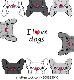 dog, vector, breed, cute, pet, animal, bulldog, french, french bulldog, small, illustration