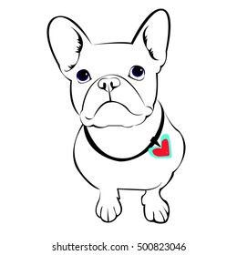 dog, vector, breed, cute, pet, animal, bulldog, french, french bulldog, small, illustration