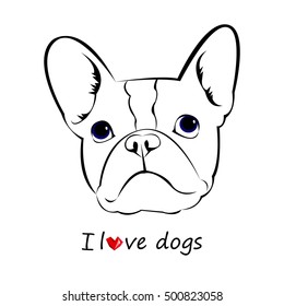 dog, vector, breed, cute, pet, animal, bulldog, french, french bulldog, small, illustration
