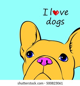 dog, vector, breed, cute, pet, animal, bulldog, french, french bulldog, small, illustration