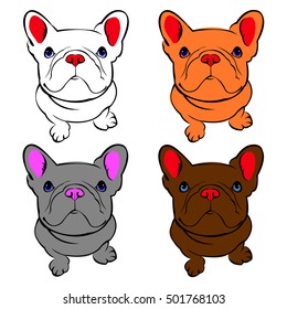 dog vector breed cute pet animal bulldog