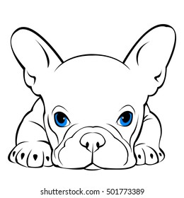 dog vector breed cute pet animal bulldog