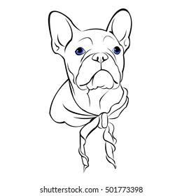 dog vector breed cute pet animal bulldog