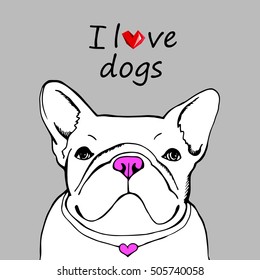 dog, vector, breed, cute, pet, animal, bulldog, french