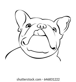 dog vector breed cute pet animal bulldog