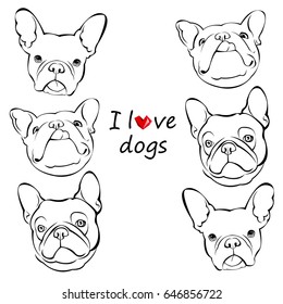 dog vector breed cute pet animal bulldog