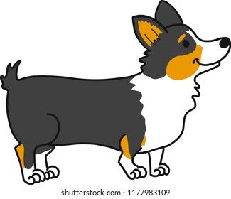 dog vector corgis