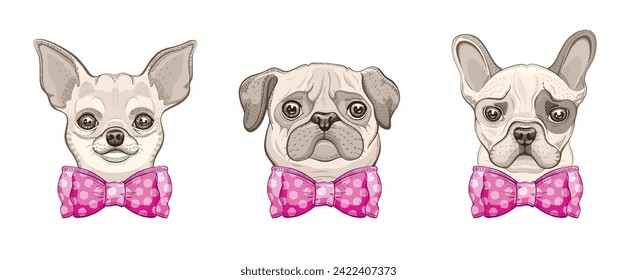 Dog vector. Cute puppy illustration. Girl style cartoon animals. Funny cute dogs with pink bow. Cool chihuahua, pug and french bulldog. Little puppy pets fashion design. Sketch hand drawn girl print