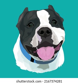 Dog vector design With aqua Color Background