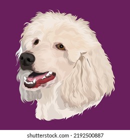 Dog Vector Design With Berry Color Background