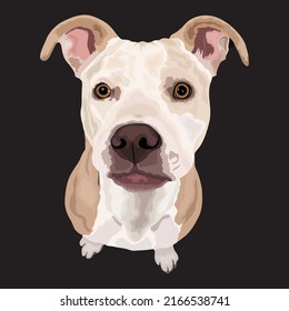 Dog Vector Design With Black Color Background