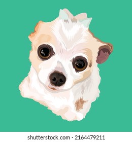 Dog Vector Design With sea foam Color Background