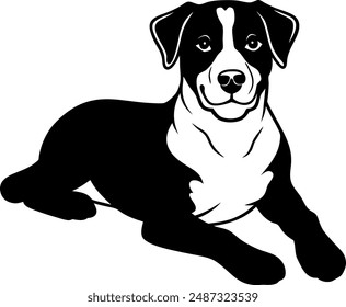 dog vector design with a white background