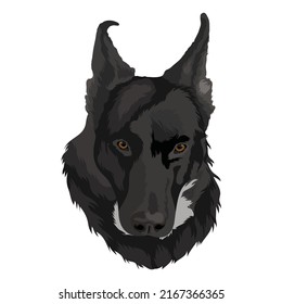 Dog Vector Design With White Color Background