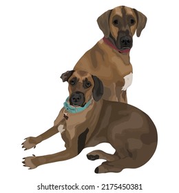 Dog Vector Design With White Color Background
