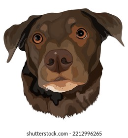 Diseño de vectores de perro con fondo de color blanco
