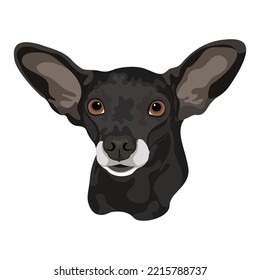 Dog Vector Design With White Color Background
