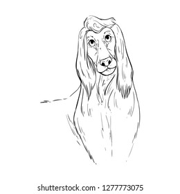 Dog Vector hand drawn
