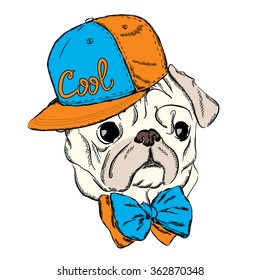 Dog vector. Hipster. Pug wearing a cap and a tie.