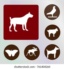 dog vector icon