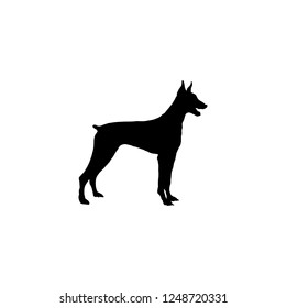 dog vector icon. dog sign on white background. dog icon for web and app