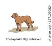 Dog Vector Illustration