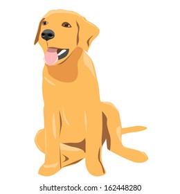 dog, vector illustration