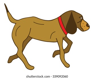 dog vector illustration