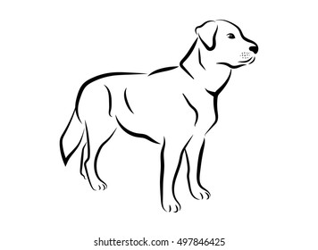 Dog. Vector illustration.