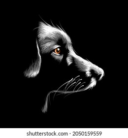 Dog vector illustration abstract design