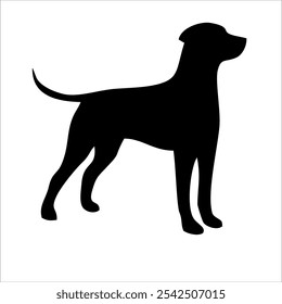 Gráfico de computadora de Ilustración vectorial de perro