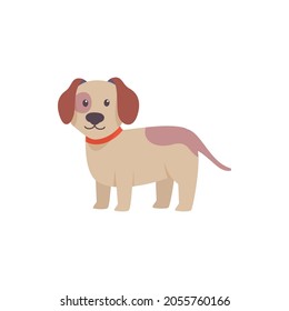 dog vector illustration design eps.10