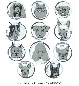 Dog vector illustration. Hand drawn dog portraits with breed names. Sketch of purebred small dogs. T-shirt print template for dog lovers. Logo elements for dog clubs.
