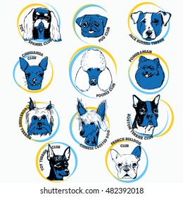 Dog vector illustration. Hand drawn dog portraits with breed names. Sketch of purebred small dogs. T-shirt print idea for dog lovers. Elements for dog club logo design.