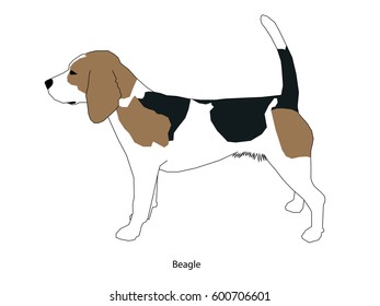A dog vector illustration isolated