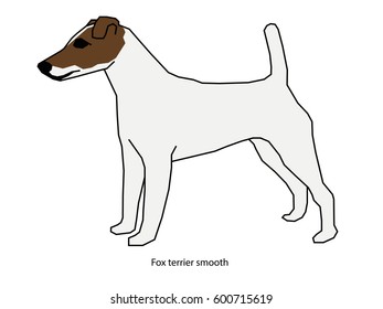 A dog vector illustration isolated