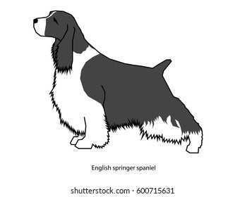 A dog vector illustration isolated