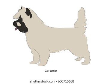 A dog vector illustration isolated