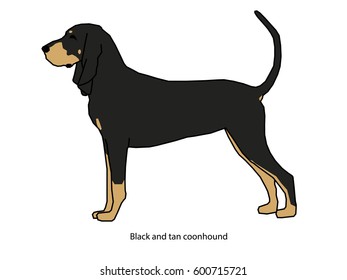 A dog vector illustration isolated