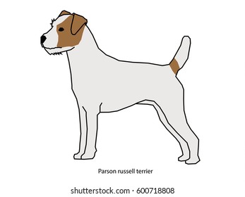 A dog vector illustration isolated